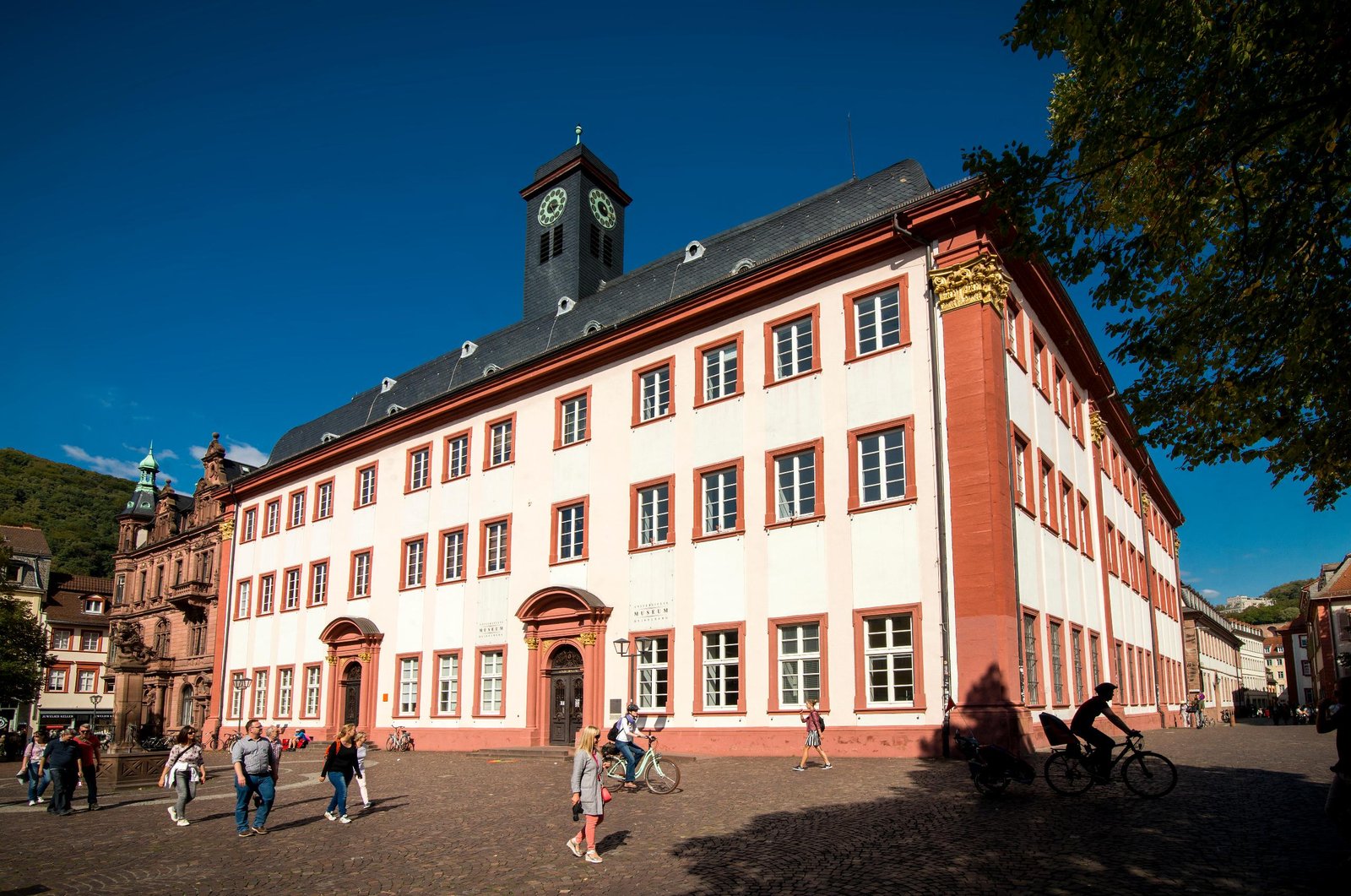 heidelberg university